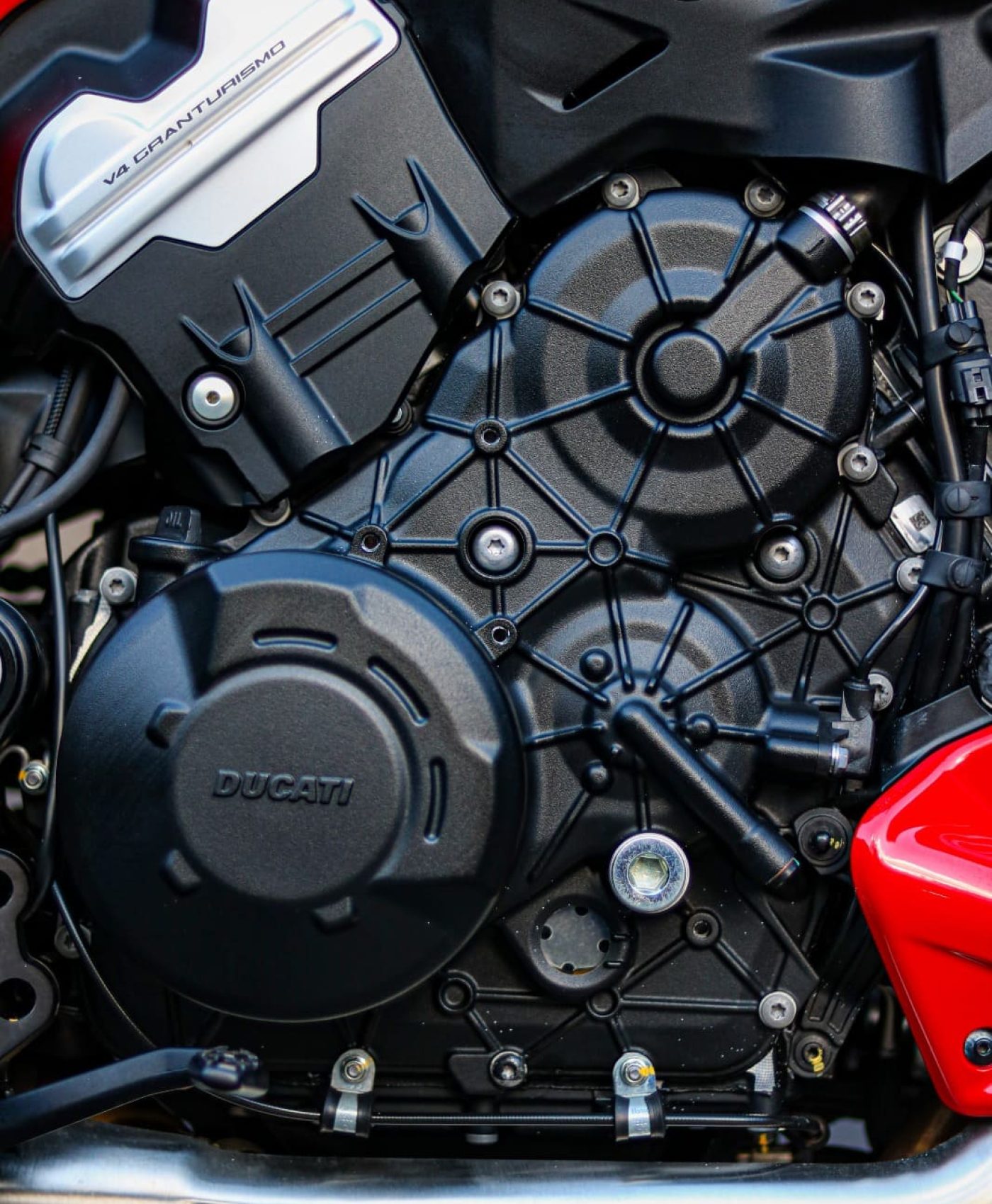 WhatsApp Image 2025-12-19 at 17.01.48 (3)