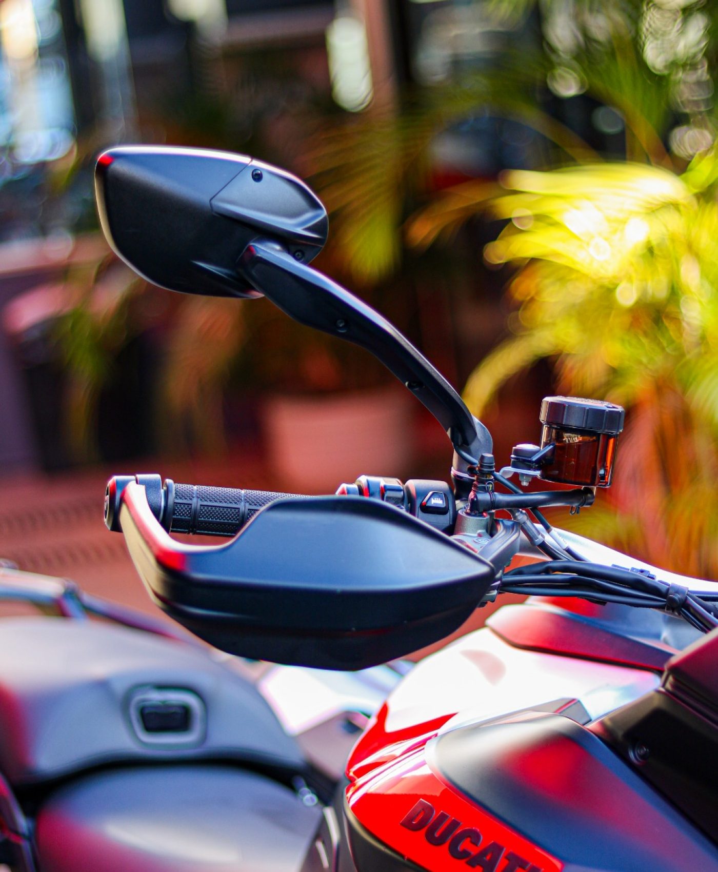 WhatsApp Image 2025-12-30 at 14.41.46