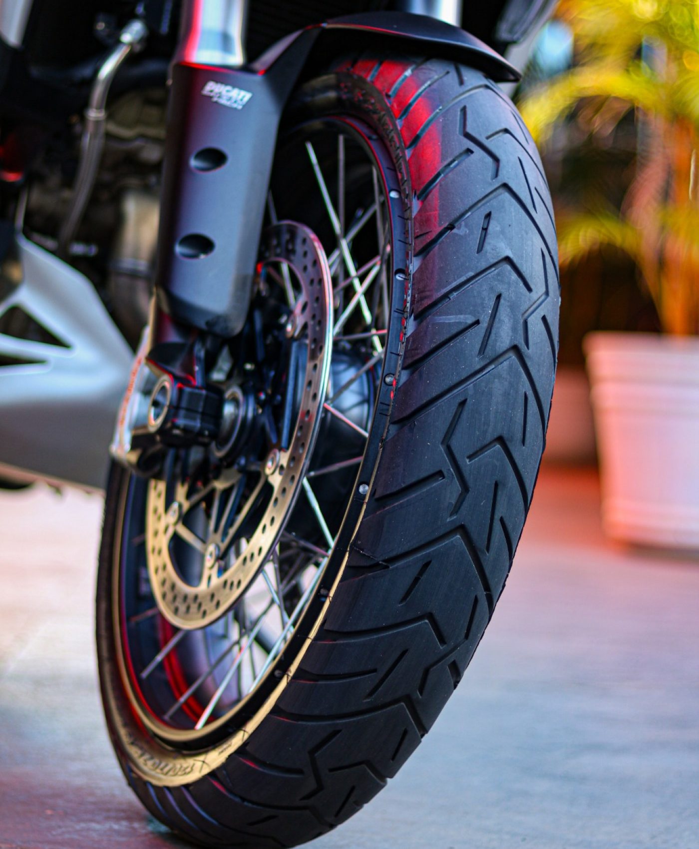 WhatsApp Image 2025-12-30 at 14.41.47