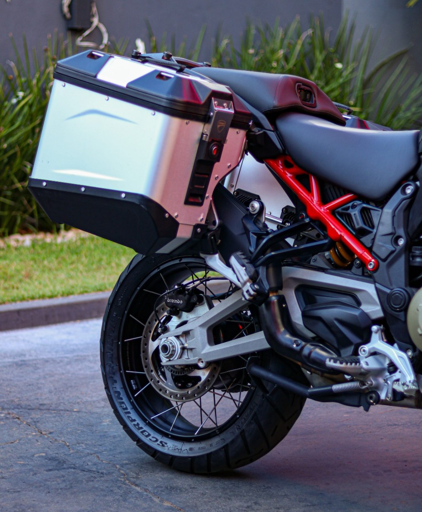 WhatsApp Image 2025-12-30 at 14.41.49